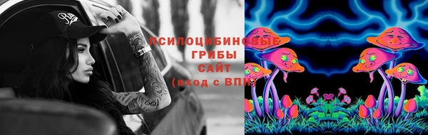 марки lsd Гусь-Хрустальный