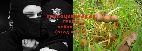 кокаин перу Гусев