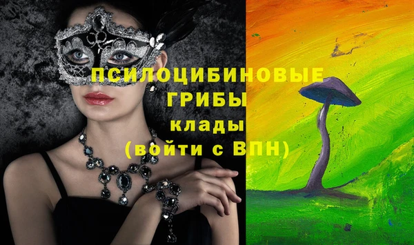 марки lsd Гусь-Хрустальный