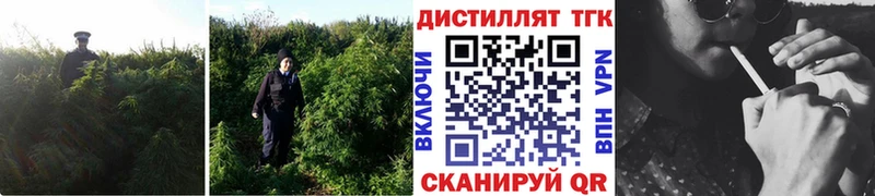 Дистиллят ТГК концентрат Архангельск