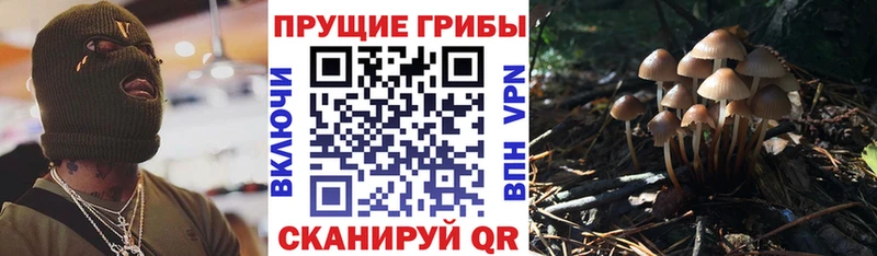Псилоцибиновые грибы мухоморы  как найти закладки  ссылка на мегу ТОР  Архангельск 